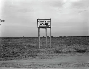 Road Sign Prints: Along U.S. Highway 99, Southern San Joaquin Valley