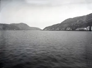 USFC Steamer Albatross'Survey of Fishing Banks from Newport to Newfoundland