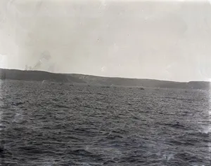 USFC Steamer Albatross'Survey of Fishing Banks from Newport to Newfoundland