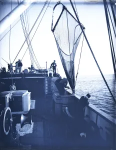 USFC Steamer Albatross'Survey of Fishing Banks from Newport to Newfoundland