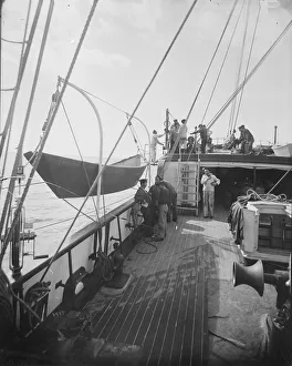 USFC Steamer Albatross'Survey of Fishing Banks from Newport to Newfoundland