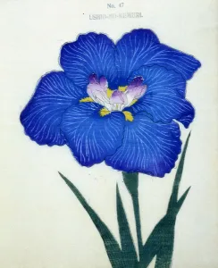 Perennial Prints: Ushio-No-Kemuri, No 47
