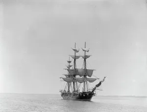 Galleon Prints: U.S.S. Constellation, between 1890 and 1901. Creator: Unknown