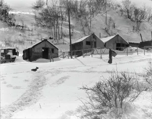 Coalmine Prints: Utah coal town housing, Consumers near Price, Utah, 1936. Creator: Dorothea Lange