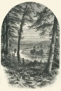 Winding Gallery: The Vale of Avoca, c1870