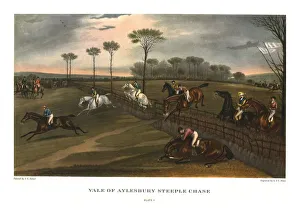 Buckinghamshire Prints: Vale of Aylesbury Steeple Chase