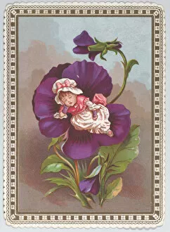 Petal Gallery: Valentine, 1875-80. Creator: Anon