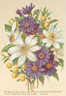 Valentine, 1876. Creator: Anon