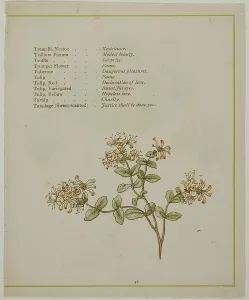 Valerian Through Volkamenia, from The Illuminated Language of Flowers, published 1884. Creators: Edmund Evans, Catherine Greenaway