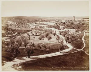 Valle De... Palestine #313, Printed c.1870. Creator: Felix Bonfils