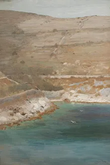 Laridae Prints: Valle Oscura, 1900. Creator: Eugen Jettel