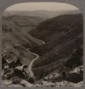 Valley of the Arno, shepherd and sheep in foreground, c1900
