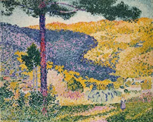 Valley with Fir (Shade on the Mountain), 1909. Creator: Henri-Edmond Cross