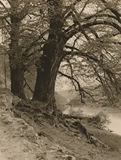 In the Valley of the Nab, 1931. Artist: Kurt Hielscher