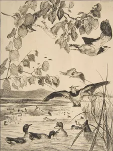 Second State Of Three Prints: Vanneaux et Sarcelles, 1862. Creator: Felix Bracquemond