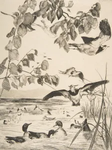 Vanneaux et Sarcelles, 1862. Creator: Felix Bracquemond