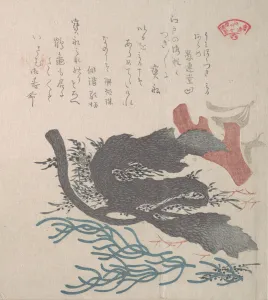 Various Seaweed, 19th century. Creator: Kubo Shunman