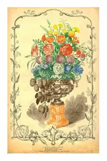 Humulus Lupulus Gallery: A Vase of Summer Flowers, 1849. Creator: Unknown