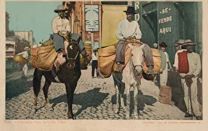Pannier Prints: Vegetable Men, Havana, Cuba, 1904