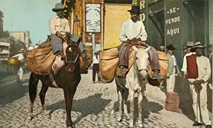 Vegetable Men, Havana, Cuba, 1904. Creator: Detroit Photographic Company