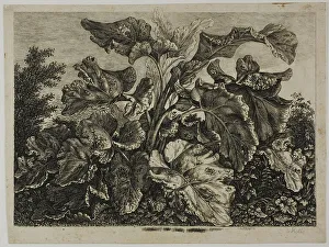 Edible Prints: Vegetable Sheet, 1800/28. Creator: Carl Wilhelm Kolbe the elder