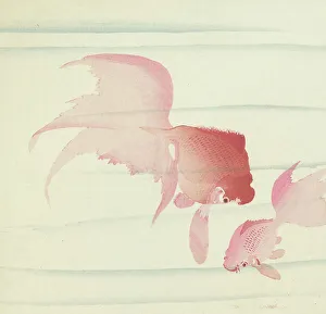 Goldfish Prints: Two Veiltails. Creator: Ohara, Koson (1877-1945)