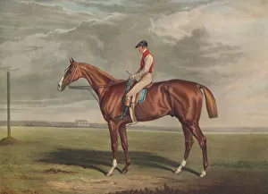 Sportsmen Prints: Velocipede, Winner of the St. Leger, 1828, c1828, (1929). Artists: Edward Duncan, J Webb