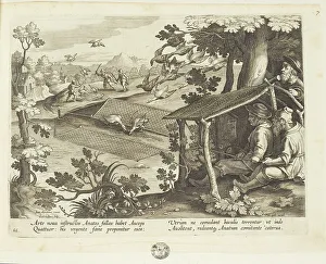 Hidden Prints: Venationes ferarum, avium, piscium (Hunts of wild animals)