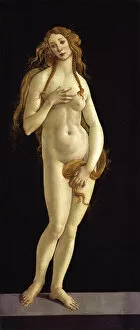 Sandro 1445 1510 Gallery: Venus, 1490