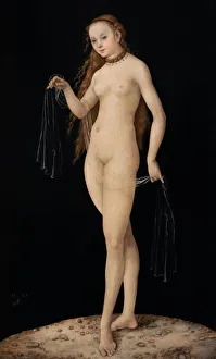 Venus, 1531