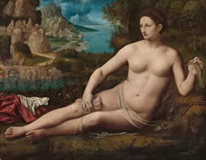 Bernardino Luini Gallery: Venus, c. 1530. Creator: Bernardino Luini