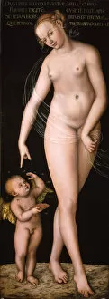 Venus with Cupid the Honey Thief, after 1537