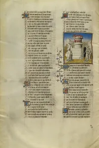 Venus Kindling a Fire in the Castle from which the Personifications of Shame, Anxiety... about 1405 Creator: Unknown