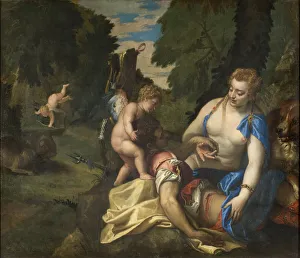 Adonis Collection: Venus Mourning Adonis