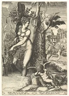 Adonis Collection: Venus pricked by the thorns on a rose bush, in the background Mars chasing Adonis