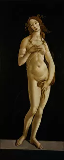 Tempera And Oil On Wood Collection: Venus Pudica, ca 1485-1490. Creator: Botticelli, Sandro (1445-1510)