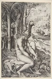 Marco Dente Gallery: Venus removing a thorn from her left foot while seated on a cloth next to trees, a