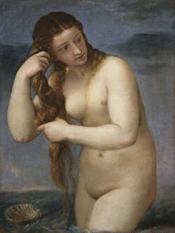 Erotic Collection: Venus Rising from the Sea (Venus Anadyomene), 1520