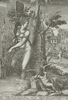 Ghisi Giorgio Prints: Venus and the Rose, 1556. Creators: Giorgio Ghisi, Luca Penni