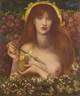 Nude Woman Prints: Venus Verticordia (Venus the changer of hearts)