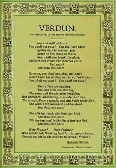 Verdun Prints: Verdun, 1916