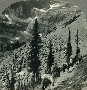 Pack Horse Prints: Verdure and Snowbanks along the Trail to Lincoln Pass, Glacier Nat. Park, Mont. c1930s