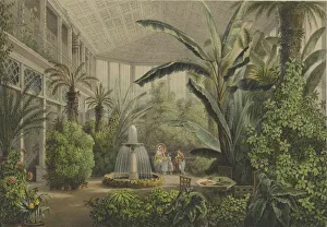 Lithuania Prints: Verkiai Palace. Interior of conservatory, 1847-1852