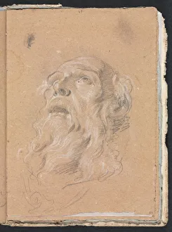 Black Chalk With White Heightening Prints: Verona Sketchbook: Male head (page 89)