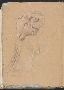 Black Chalk With White Heightening Prints: Verona Sketchbook: Rams head (page12)