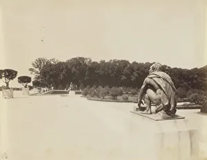 Versailles, Coin de Parc, 1903. Creator: Eugene Atget