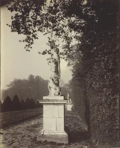 Versailles, Coin de Parc, 1904. Creator: Eugene Atget