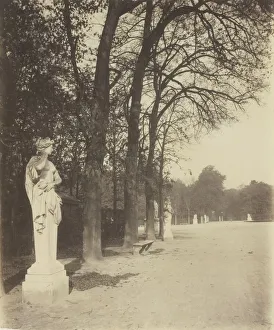 Versailles, Coin de Parc, 1904. Creator: Eugene Atget