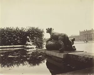Chateau De Versailles Gallery: Versailles, Fontaine du Point du Jour, (Tigre Terrassant un Ours par Houzeau), 1903