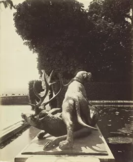 Capturing Collection: Versailles, Fontaine de Point du Jour, (Limier Abattant un Cerf par Houzeau), 1903